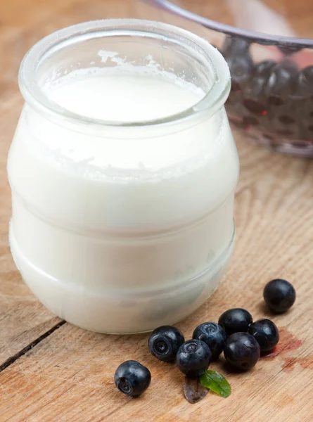Romige natuurlijke yoghurt met bosbessen — Stockfoto