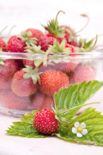 Fresh strawberry, flower and leaves — Stock Photo, Image
