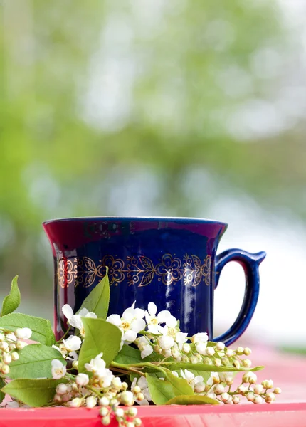 Kiraz çiçeği ile sıcak içecek bir fincan — Stok fotoğraf