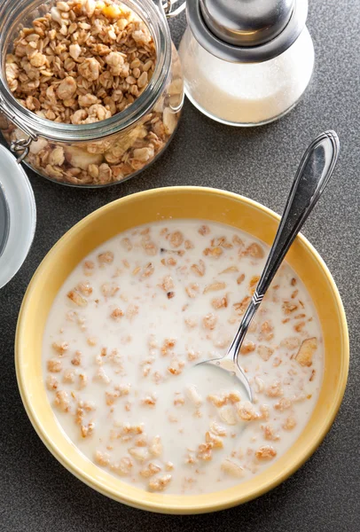 Bowl of healthy muesli and milk — Stock Photo, Image