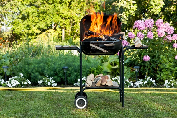 Fiamme in un barbecue — Foto Stock