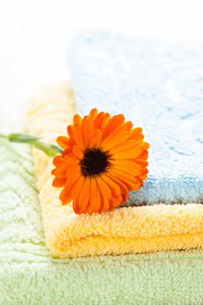 Barevné ručníky a oranžová květina — Stock fotografie