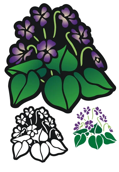 Violets — Stock Vector