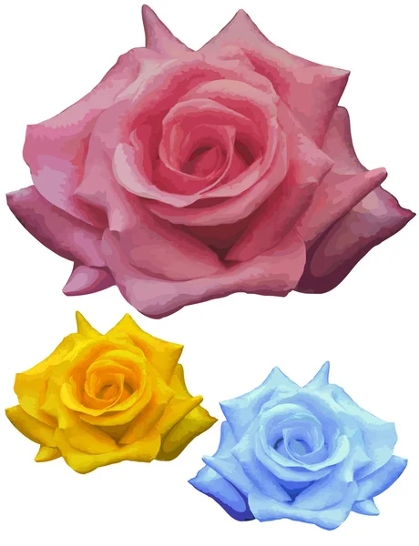 Rosas de fantasía — Archivo Imágenes Vectoriales