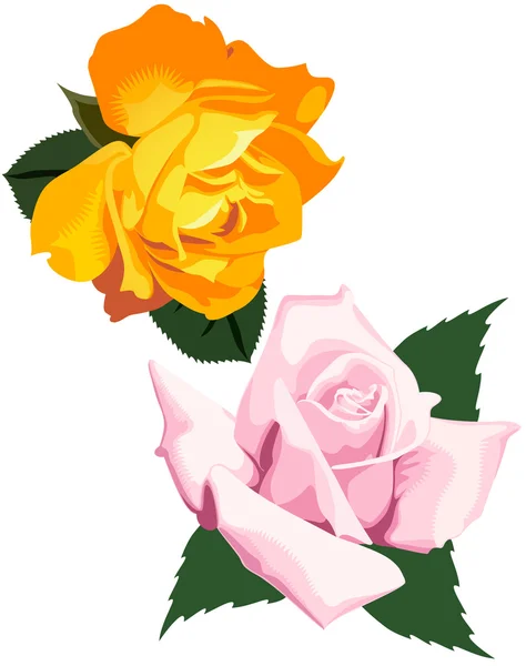 Δύο τριαντάφυλλα τσαγιού — Διανυσματικό Αρχείο
