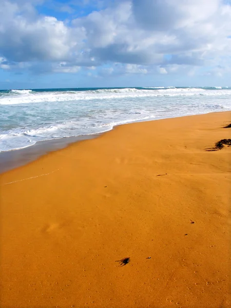 Warrnambool plaży w Stany Zjednoczone Ameryki — Zdjęcie stockowe