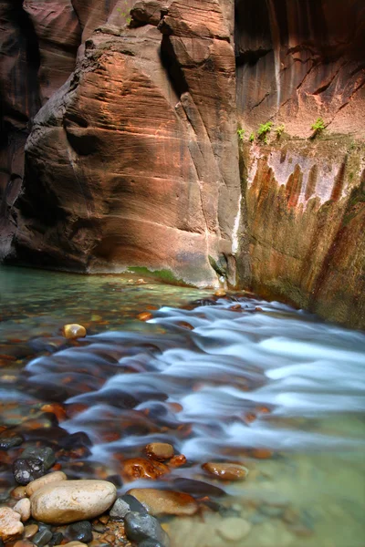 Estrechos del Parque Nacional de Zion — Foto de Stock
