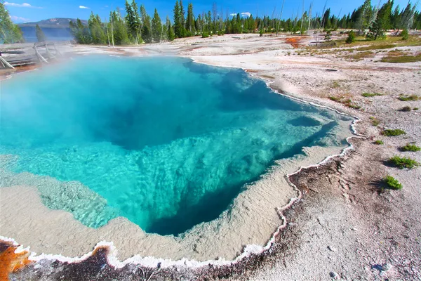 Black Pool Yellowstone Nationalpark lizenzfreie Stockfotos