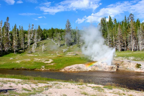 Riverside geyser yellowstone nationalpark — Stockfoto