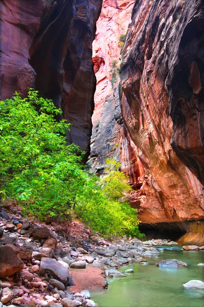 Zion'un dikey kayalıklarla daraltır — Stok fotoğraf