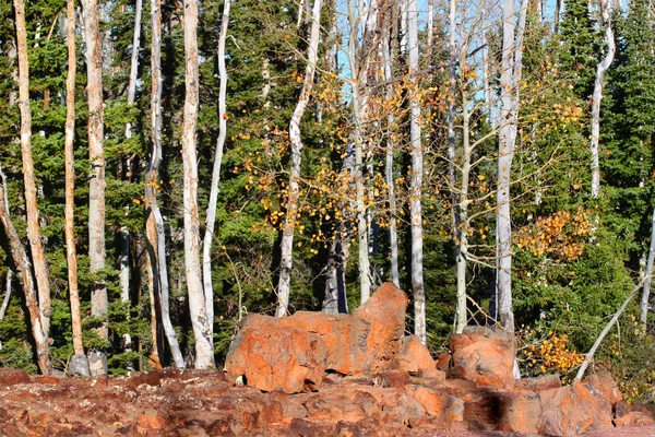 迪克西国家森林熔岩字段 — 图库照片