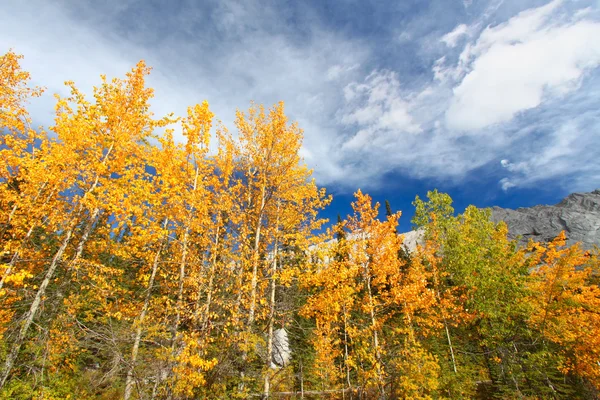 Herbst in den kanadischen Rockies — Stockfoto
