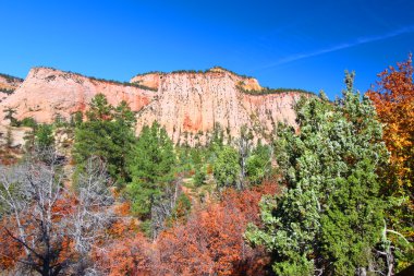 Zion national park Jeoloji