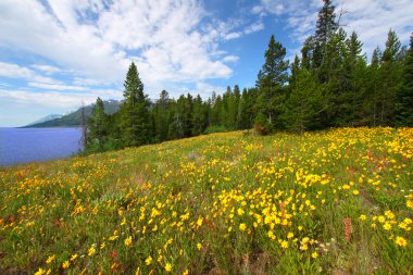 Grand Teton National Park clipart