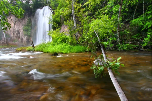 Spearfish Falls of the Black Hills — Stock Photo, Image