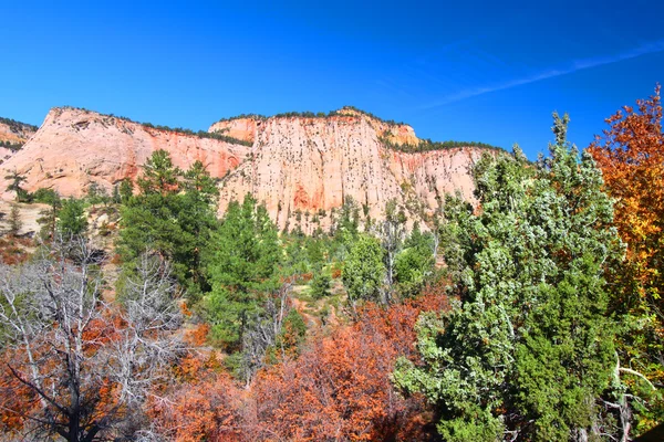 Geología del Parque Nacional Zion — Foto de Stock