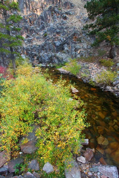 蒙大拿州流和岩石峭壁 — 图库照片