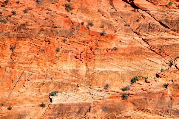 Parque Nacional Zion Sandstone Rock — Foto de Stock
