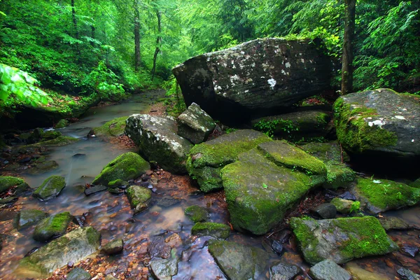 Klidné creek scéna v Alabamě — Stock fotografie