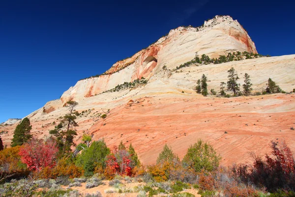 Zion National Park Geology — Stock Photo, Image