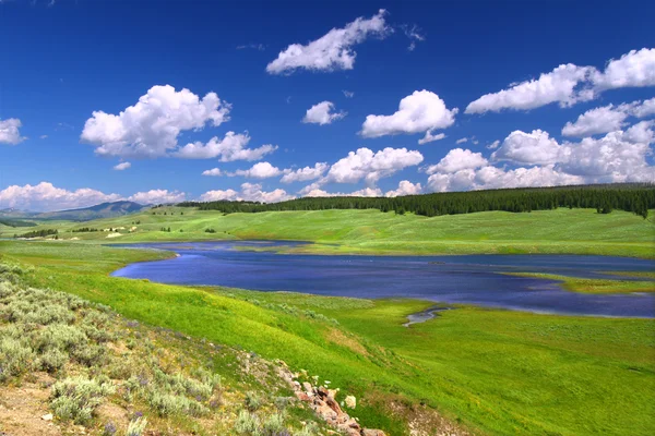 Yellowstone River in Hayden Valley — Stock Photo, Image