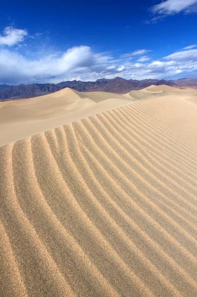 Плоские дюны Мескита — стоковое фото