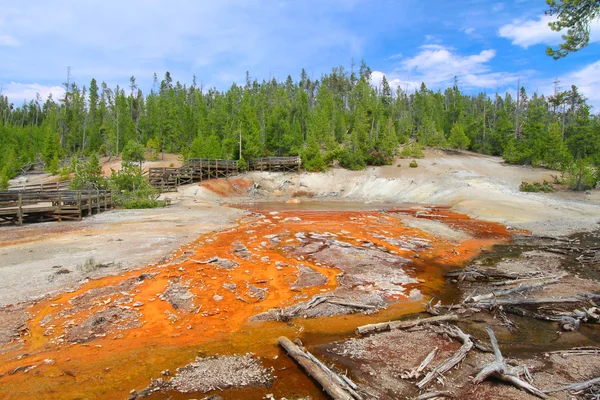Echinus Geyser Yellowstone — Stock Photo, Image