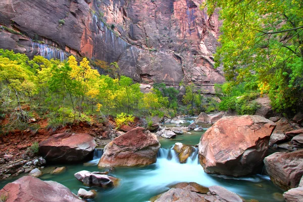 Parque Nacional Río Virign Zion — Foto de Stock