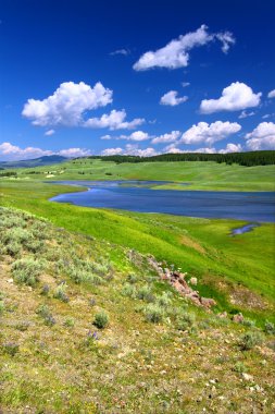 Yellowstone Nehri hayden Vadisi