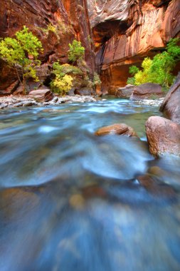 Rapids of the Virgin River Narrows clipart