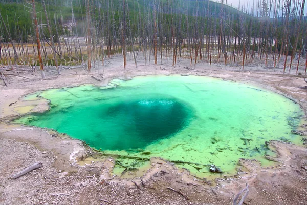 Cisterna Primavera de Yellowstone — Fotografia de Stock