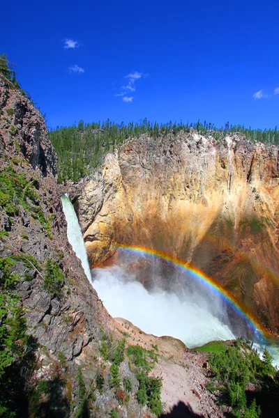 Ουράνιο τόξο στο χαμηλότερο falls - yellowstone — Φωτογραφία Αρχείου