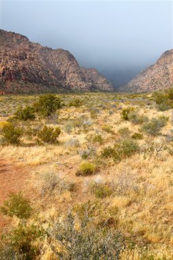 Red rock canyon Ulusal koruma alanı