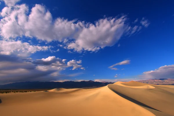Επίπεδη αμμόλοφους mesquite — Φωτογραφία Αρχείου