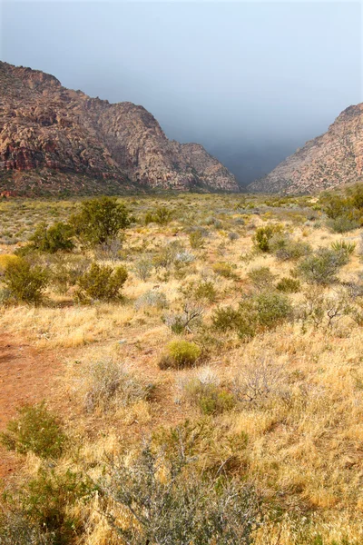 Red rock canyon nationella naturvårdsområdet — Stockfoto