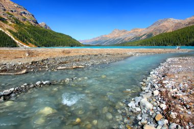 Glacial Waters Flow to Peyto Lake clipart