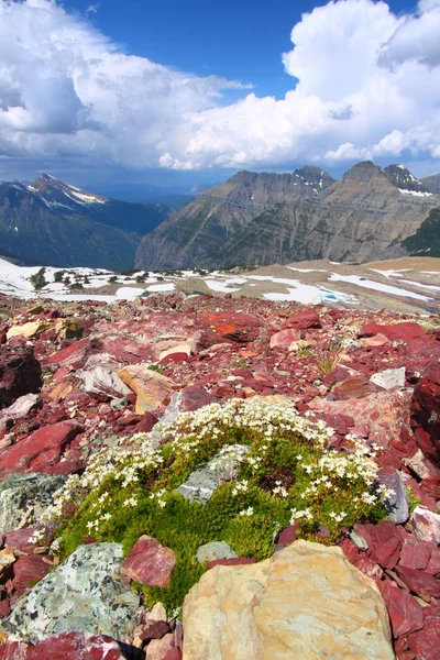 Gletscher-Nationalpark Montana — Stockfoto
