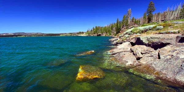 在怀俄明州的黄石湖 — 图库照片