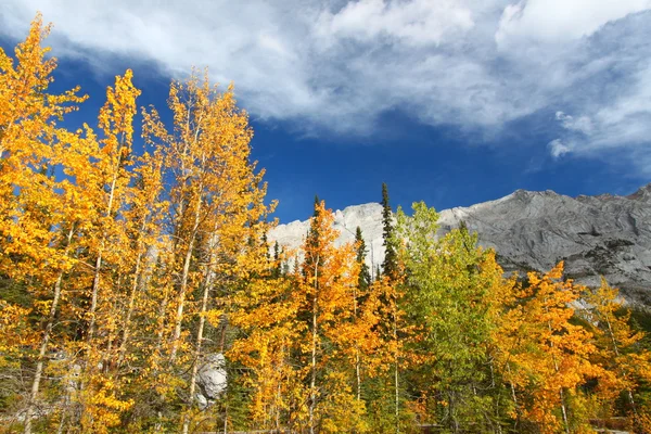Осень в Скалистых горах Канады — стоковое фото