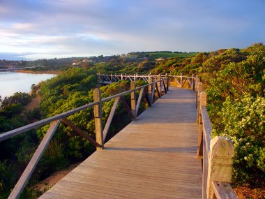 Australia Coastline Boardwalk clipart