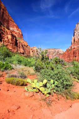 Kayenta Trail Zion National Park clipart