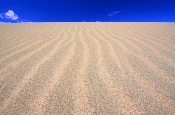 메스 키트 평평한 모래 언덕 — 스톡 사진