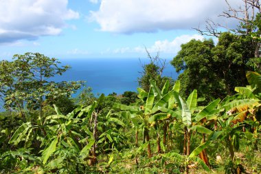 Tortola, İngiliz virgin Adaları