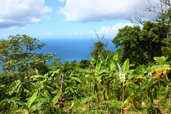 Tortola Ilhas virgens britânicas — Fotografia de Stock
