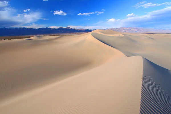 Επίπεδη αμμόλοφους mesquite — Φωτογραφία Αρχείου