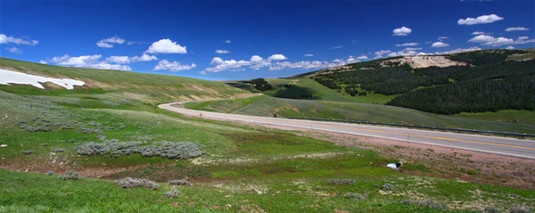 Bighorn National Forest Roadway — Stock Photo, Image