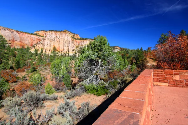 Zion National Park Overlook — Stock Photo, Image
