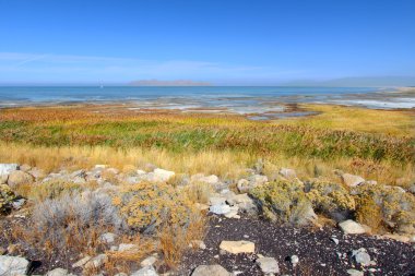 Great Salt Lake State Park clipart