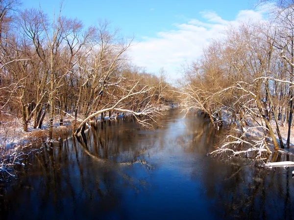 Sangamon River in central Illinois — Stock Photo, Image