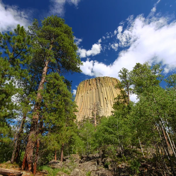 Devils Tower National Monument — Stock Photo, Image